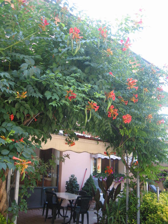 Albergo Ristorante Sterlina Grizzana Pokoj fotografie